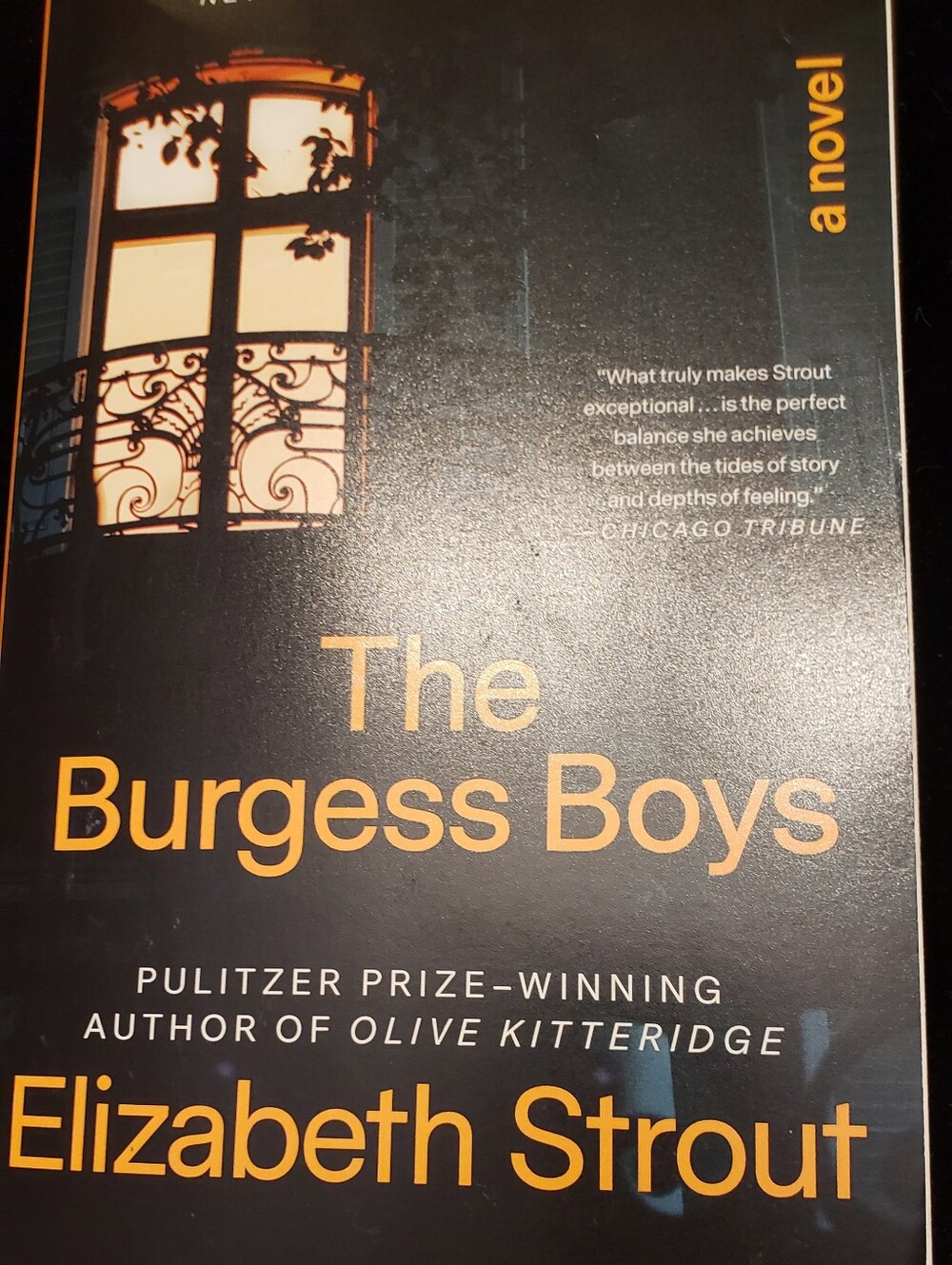 NEW Book THE BURGESS BOYS by Elizabeth Strout, Paperback, Never Used By Me